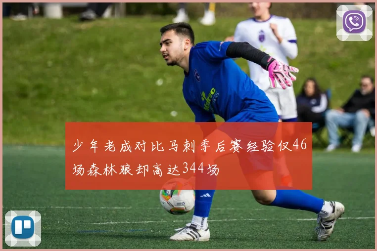 少年老成对比马刺季后赛经验仅46场森林狼却高达344场